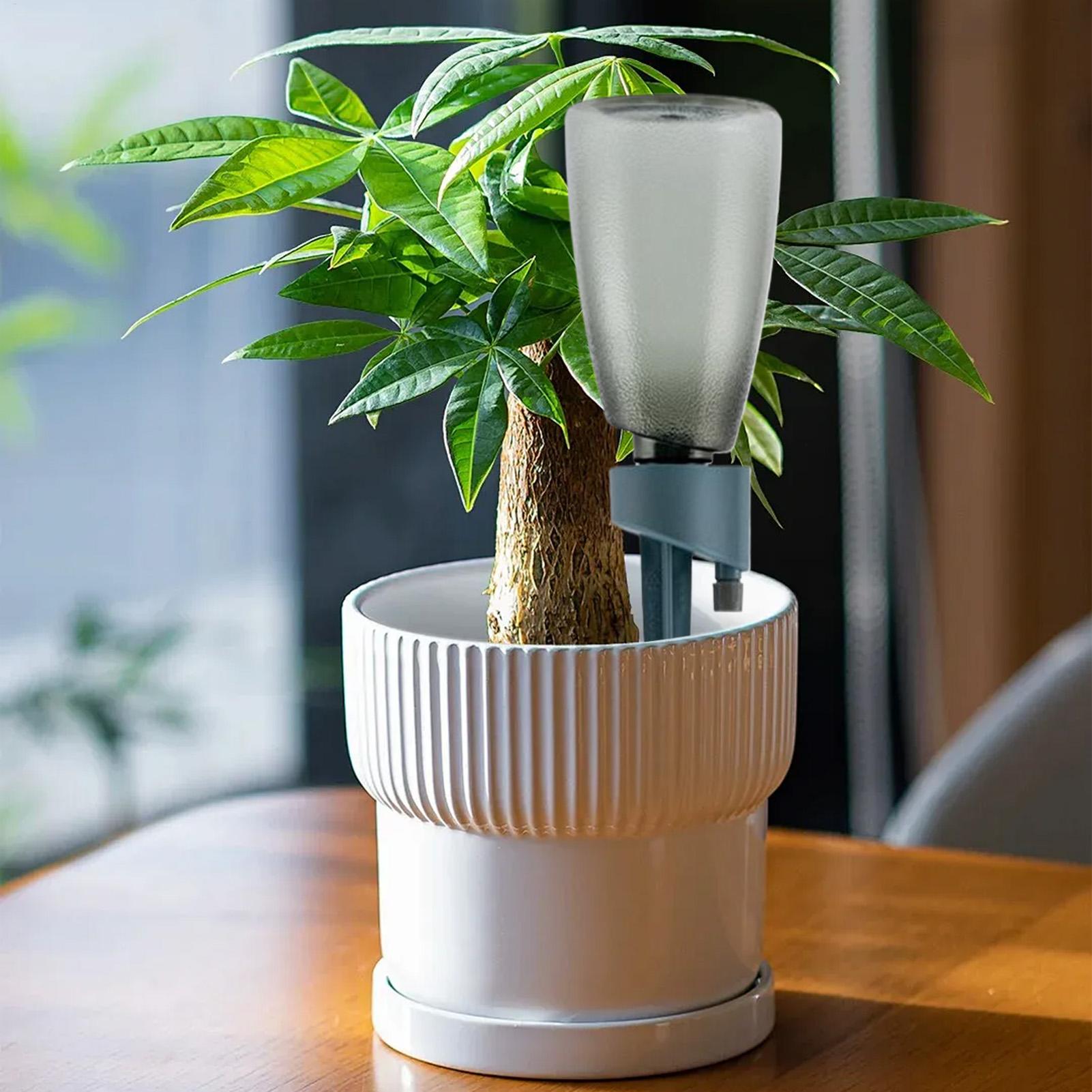 6pcs Automatic Waterer Househo - огляд і ціна Smart Garden Project