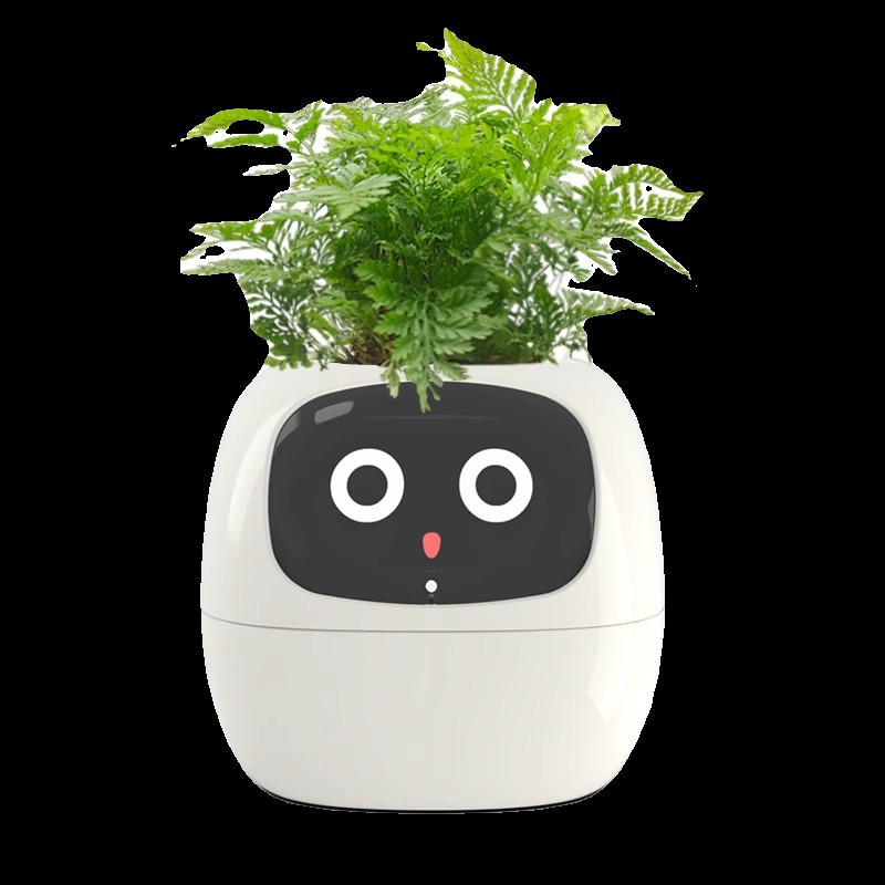 Sensor Smart Mimi Flower Pot F - огляд і ціна Self Watering Pot Sensor