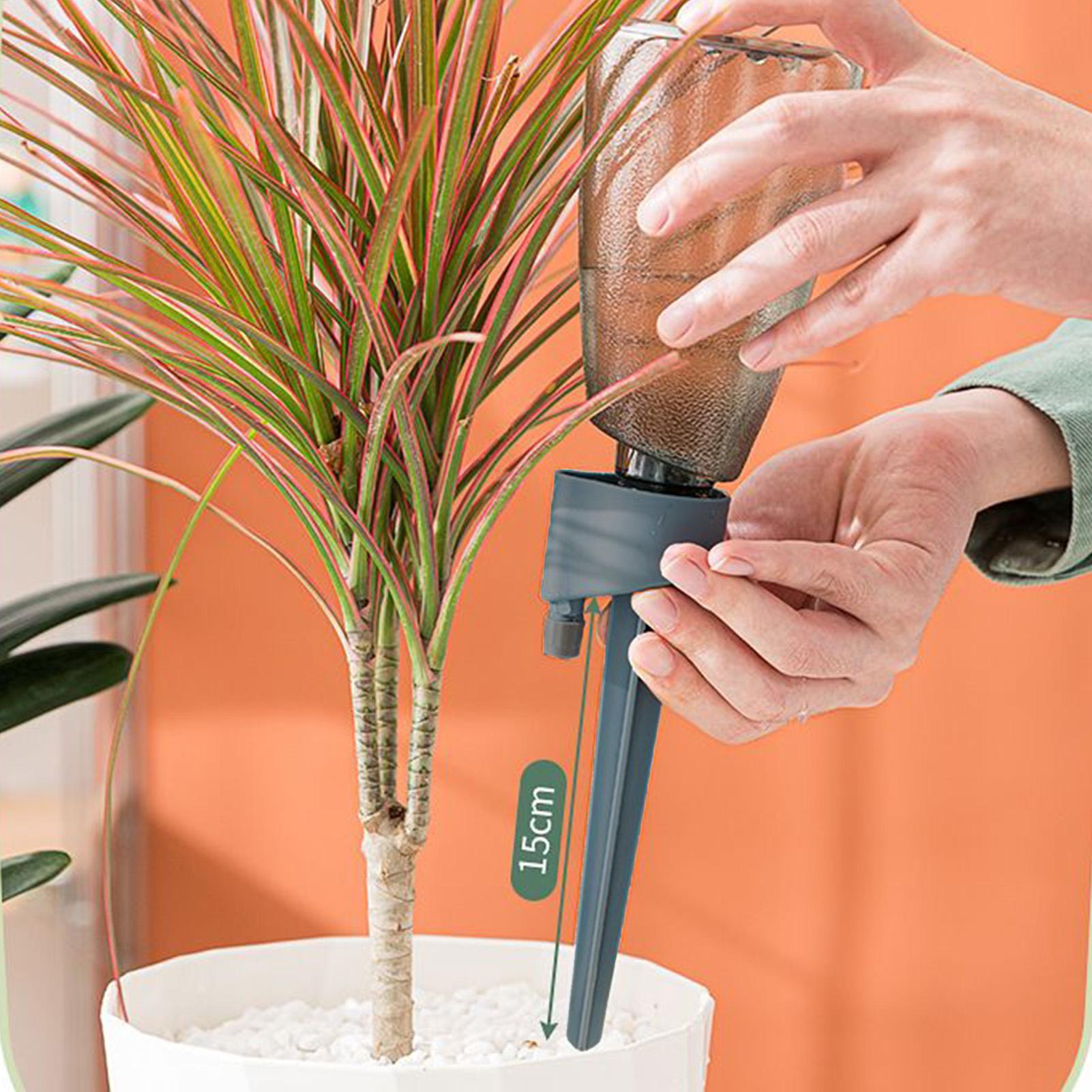6pcs Automatic Waterer Househo - огляд і ціна Smart Garden Project